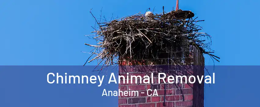 Chimney Animal Removal Anaheim - CA