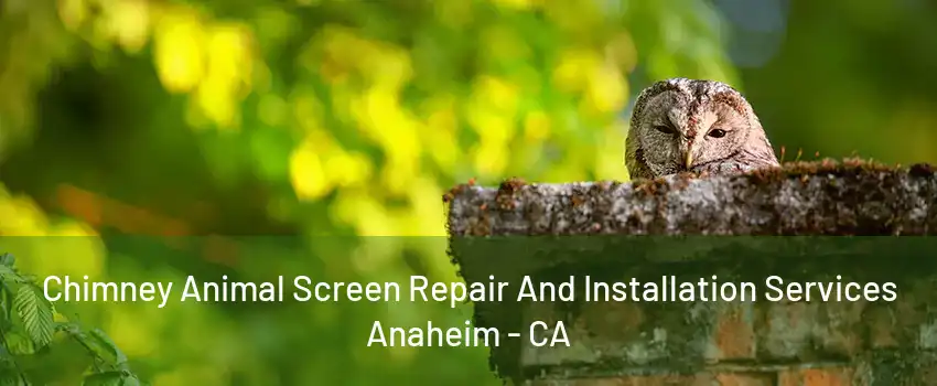 Chimney Animal Screen Repair And Installation Services Anaheim - CA