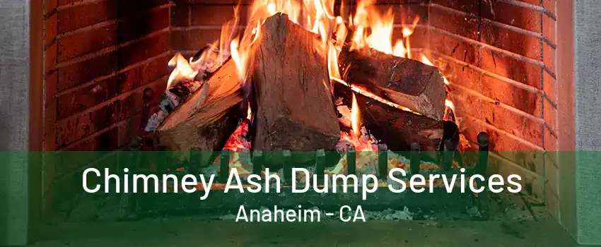 Chimney Ash Dump Services Anaheim - CA