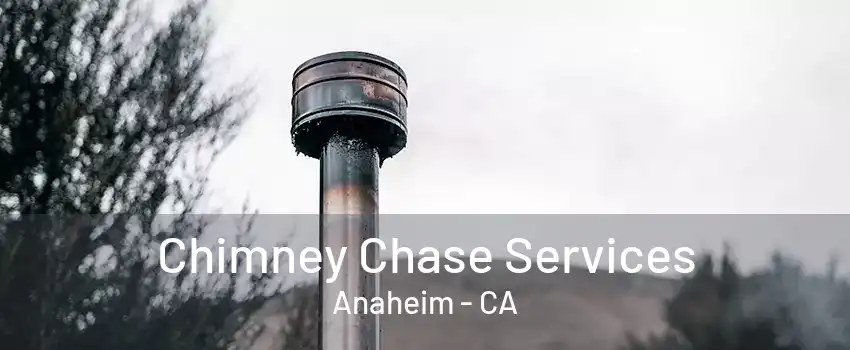 Chimney Chase Services Anaheim - CA