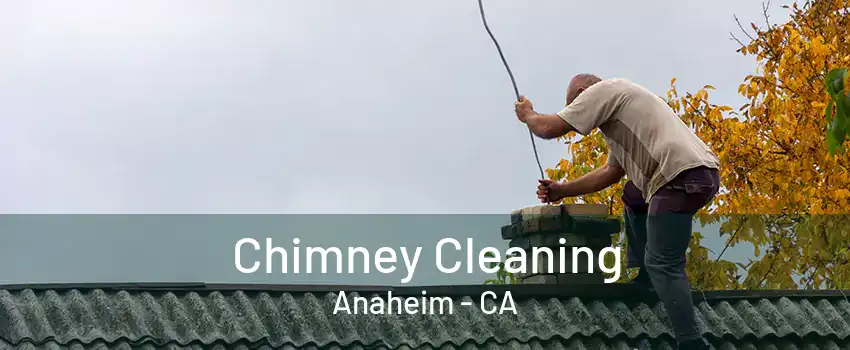 Chimney Cleaning Anaheim - CA