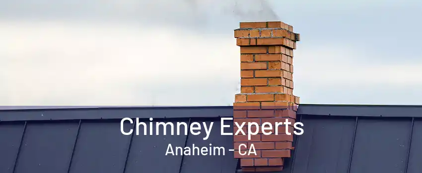 Chimney Experts Anaheim - CA