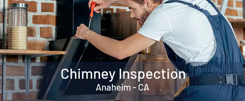 Chimney Inspection Anaheim - CA