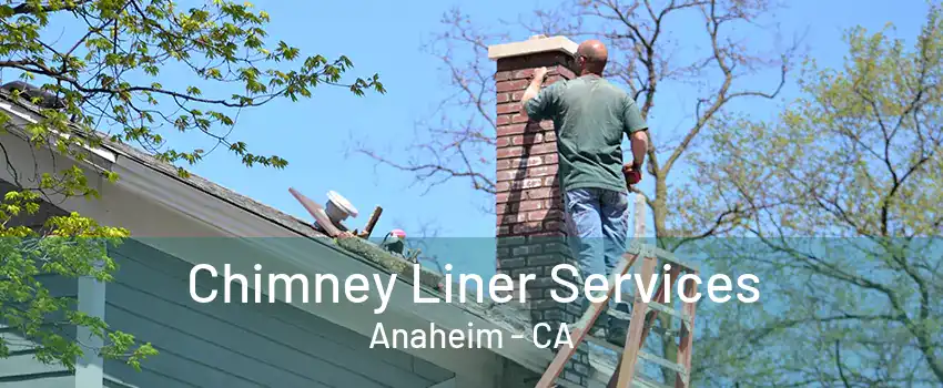 Chimney Liner Services Anaheim - CA