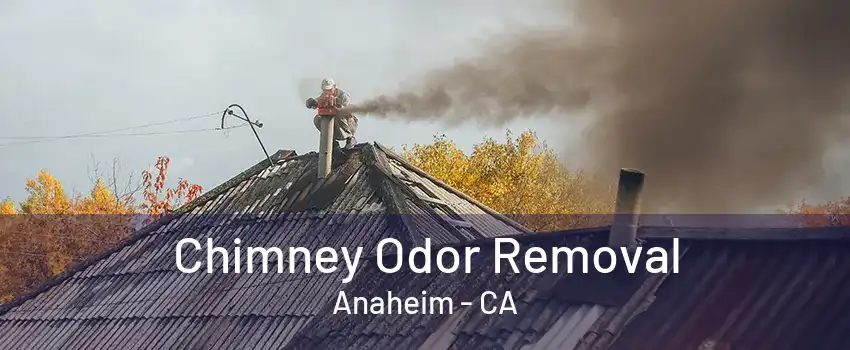 Chimney Odor Removal Anaheim - CA