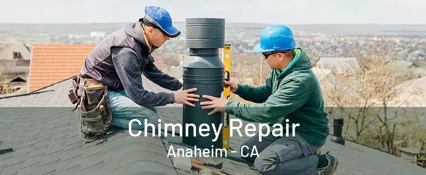 Chimney Repair Anaheim - CA