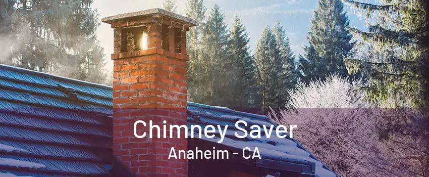 Chimney Saver Anaheim - CA