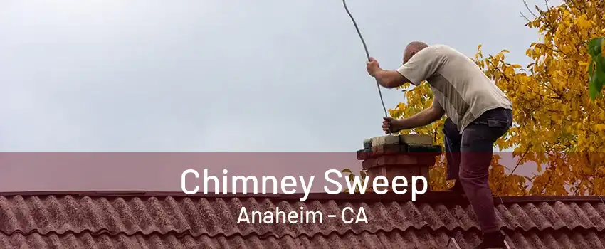 Chimney Sweep Anaheim - CA