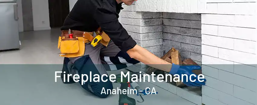 Fireplace Maintenance Anaheim - CA