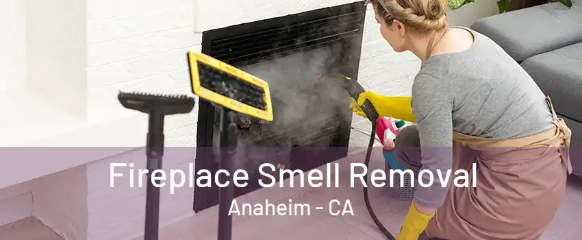 Fireplace Smell Removal Anaheim - CA