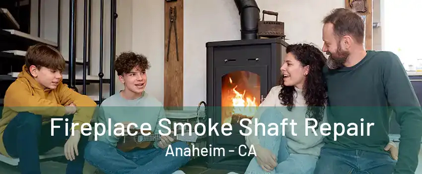 Fireplace Smoke Shaft Repair Anaheim - CA