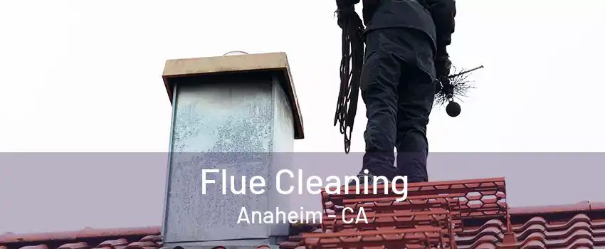 Flue Cleaning Anaheim - CA