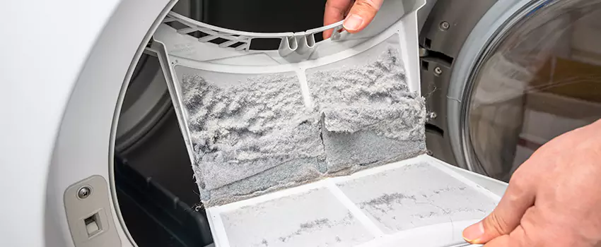 Best Dryer Lint Removal Company in Anaheim, California