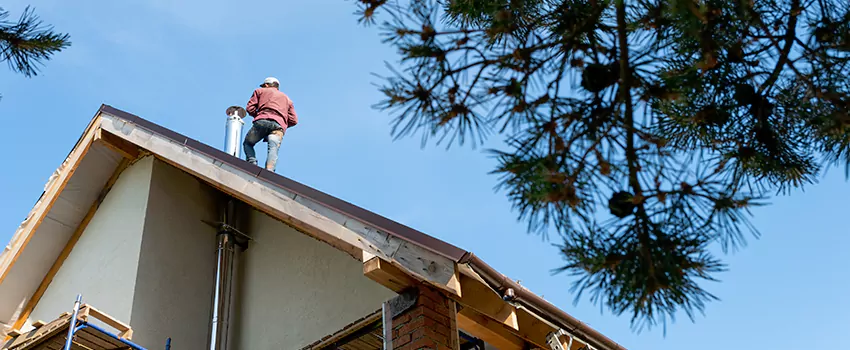 Birds Removal Contractors from Chimney in Anaheim, CA